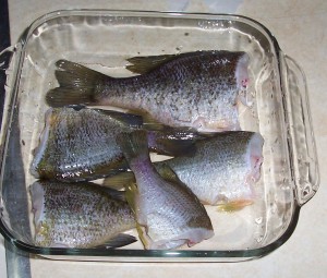 It's Frying Time :)