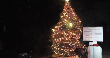 Christmas Tree Light Show 2017