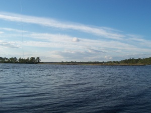 Not Peaceful Fishing Hole B