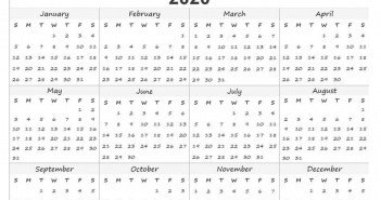 In The Year 2020… Sounds Kind of Treky To Me